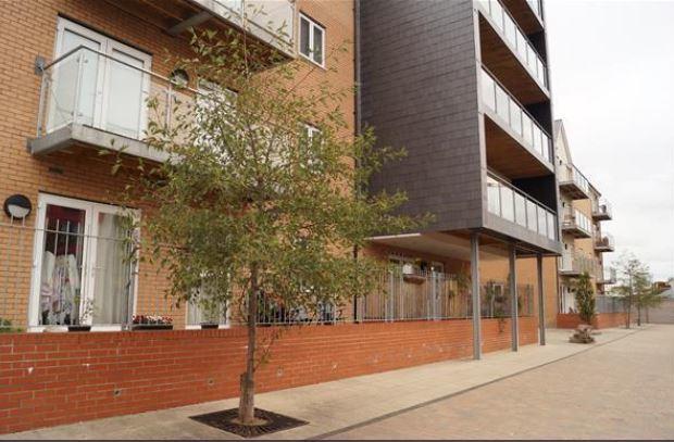 Vetrelax Chelmsford Apartment ภายนอก รูปภาพ